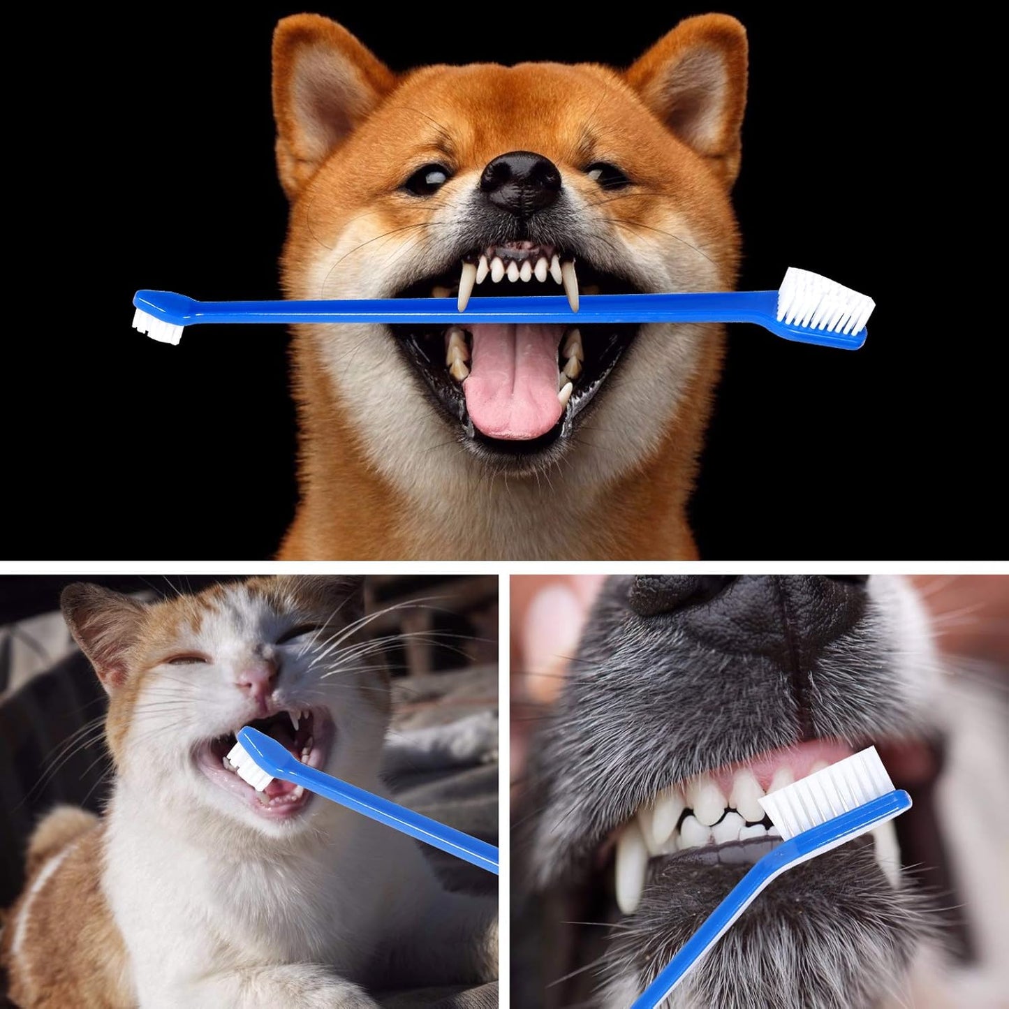 Dog Toothbrush Set of 8 - Dual Headed, Dental Hygiene Convenient Soft Toothbrush to Clean pet Teeth, Dog Tooth Brushes for Small to Large Dogs, Cats, and Most Pets, Teeth Brush in Bulk