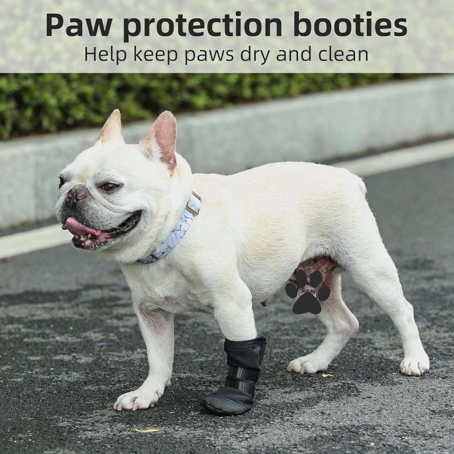 Dog Paw Wound Recovery Boot, Breathable Dog Bootie for Injured Paw, Anti-Slip Dog Shoe with Self-Adhesive Strap, Dog Paw Protector for Outdoor Walking & Keep Dogs from Licking Wounds (M)