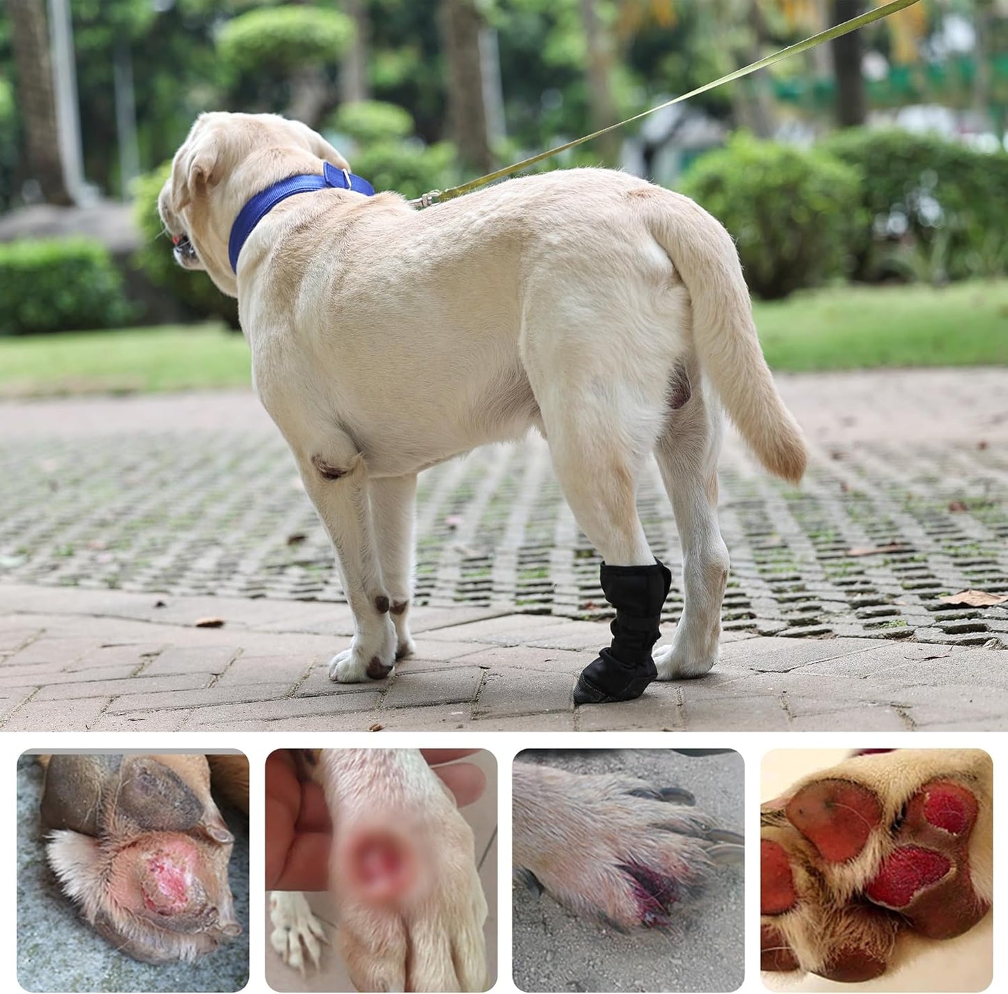 Dog Paw Wound Recovery Boot, Breathable Dog Bootie for Injured Paw, Anti-Slip Dog Shoe with Self-Adhesive Strap, Dog Paw Protector for Outdoor Walking & Keep Dogs from Licking Wounds (M)