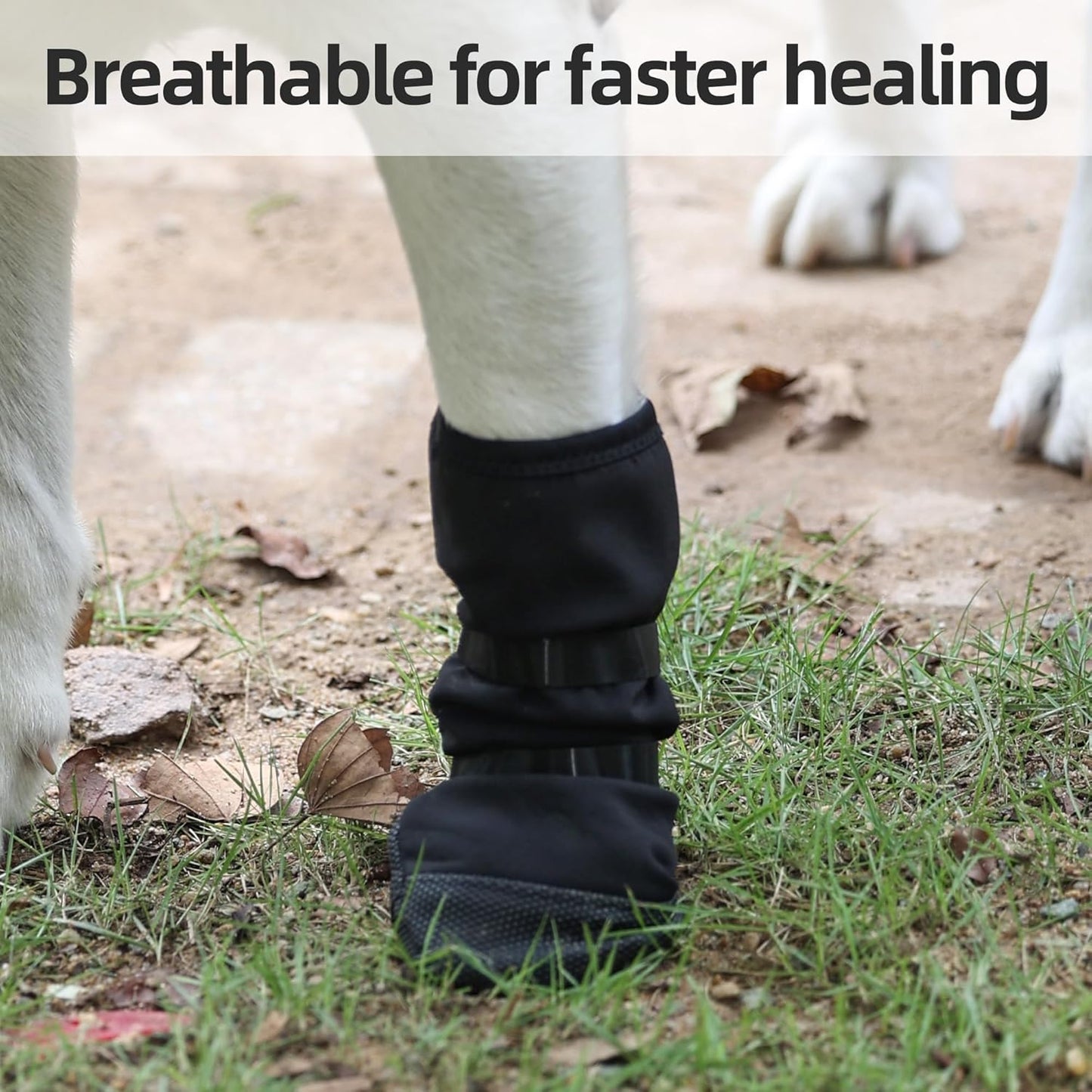 Dog Paw Wound Recovery Boot, Breathable Dog Bootie for Injured Paw, Anti-Slip Dog Shoe with Self-Adhesive Strap, Dog Paw Protector for Outdoor Walking & Keep Dogs from Licking Wounds (M)