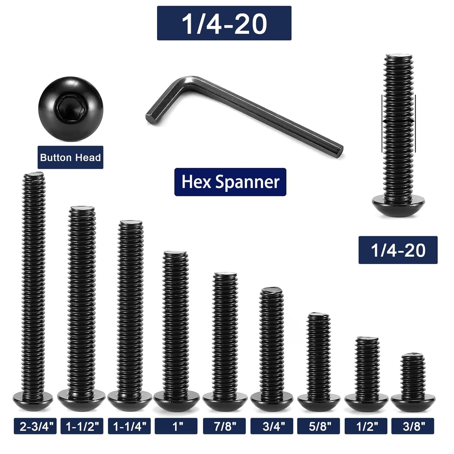 1/4-20 x 1 Button Head Socket Cap Bolts Screws, 20Pcs 304 Stainless Steel 18-8, Allen Hex Drive, Black Oxide by (with Hex Spanner)