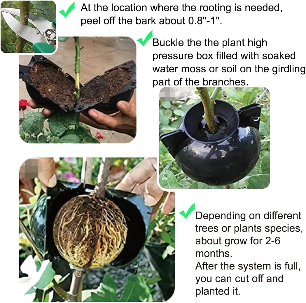 10 PCS Air Layering Propagation Kit with Zip Ties, Reusable Half Transparent Grafting Ball, Air Layering Pods Clear, Plant Rooting Grafting Box for Fast Propagation Plants (Medium)