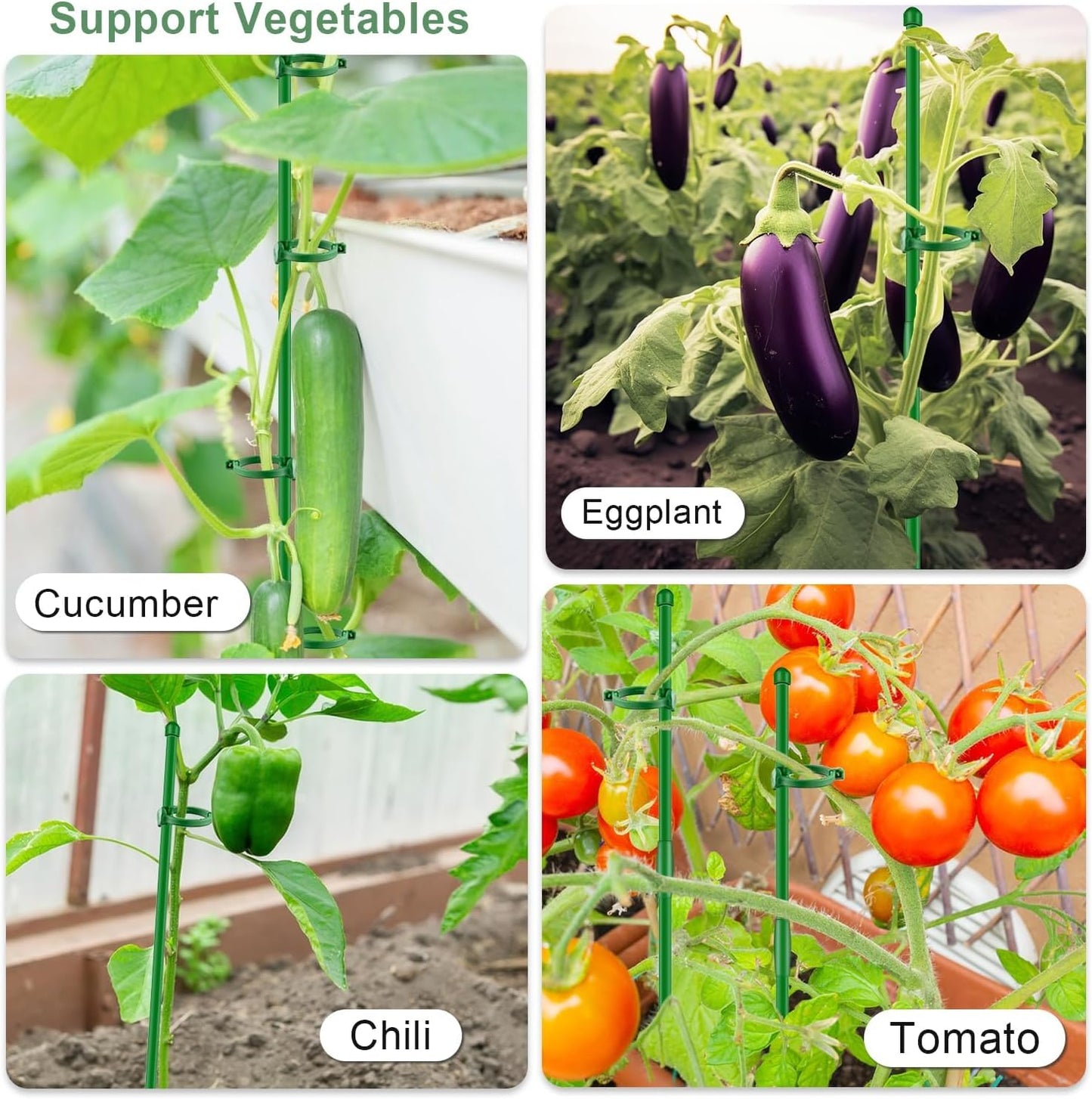 20Pcs Plant Support Stakes 17 inch  Garden Orchid Sticks Extended to 3ft 4ft 5ft Plant Poles with Clips for Indoor Outdoor Potted Tomato Rose Amaryllis Vegetables Comes with 20 Ties