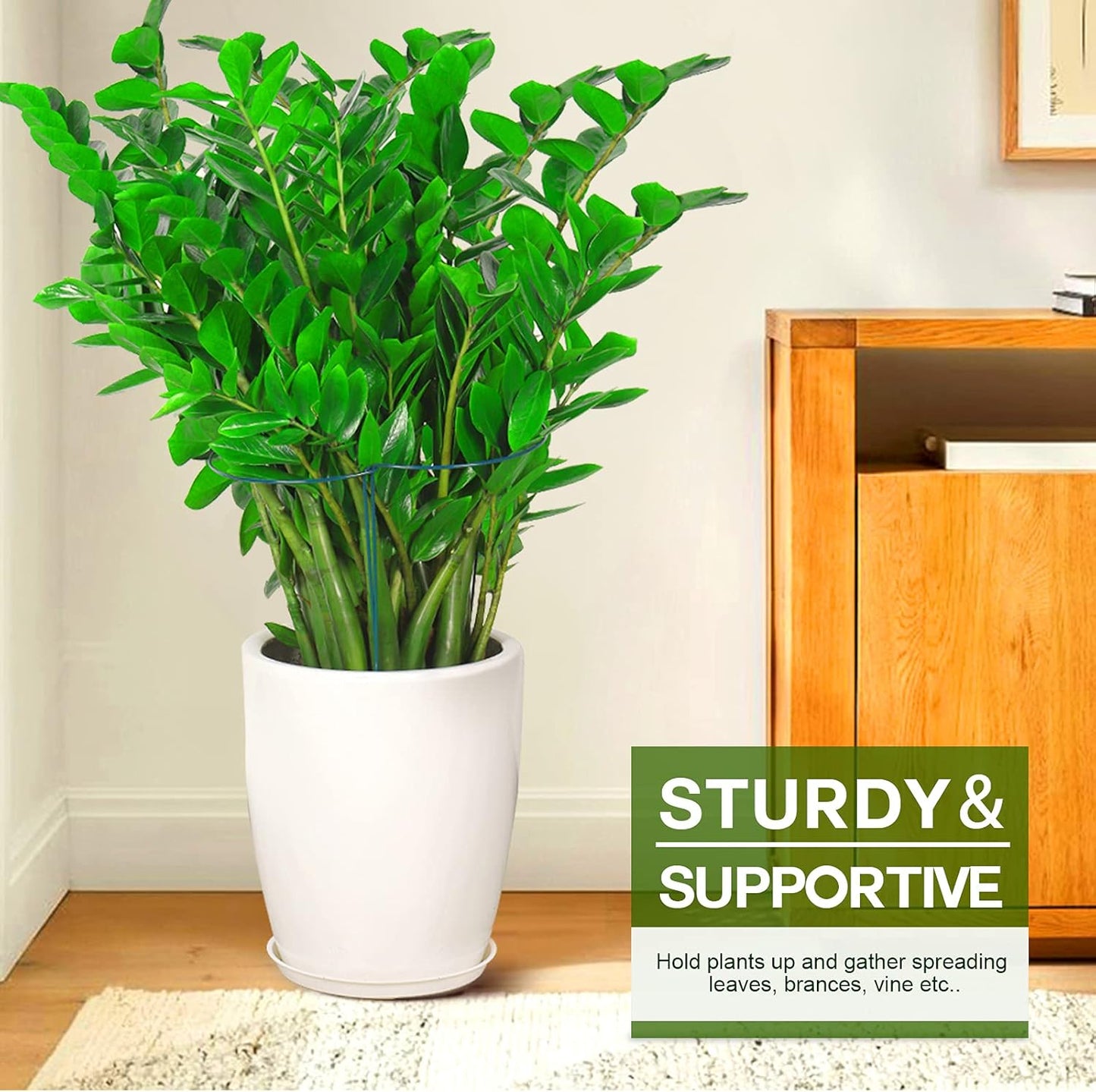 6 Pack Plant Support Plant Stakes, Metal Peony Support, Garden Plant Supports, Plant Cage, Plant Support Ring, Plant Support Stakes for Peony, Tomato, Hydrangea, Indoor Plants, 9.8 W x 15.7 H