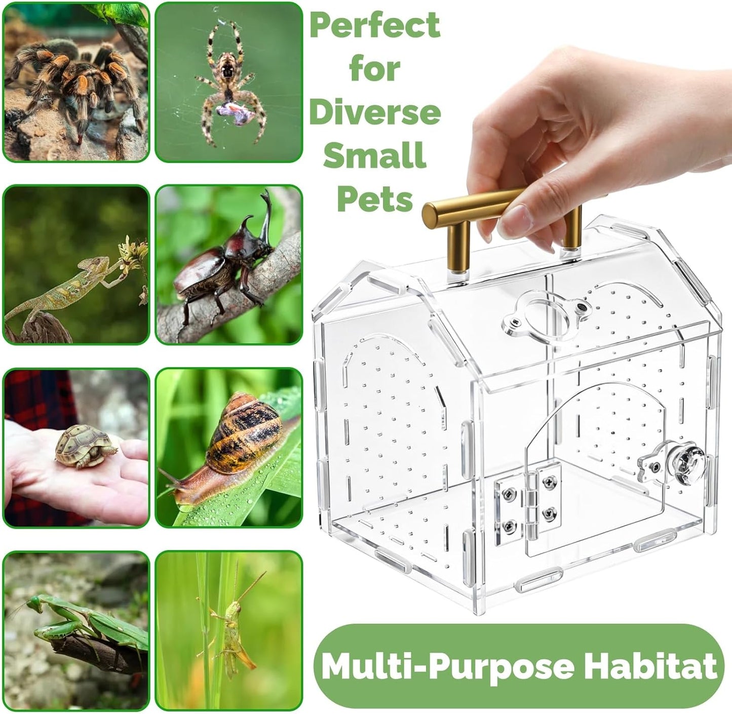 Jumping Spider Enclosure with Handle, Acrylic Reptile Habitat One-Click Magnetic Closure, Front Opening Small Terrarium Ventilation Holes for Tarantulas, Frogs, Gecko, Mantis