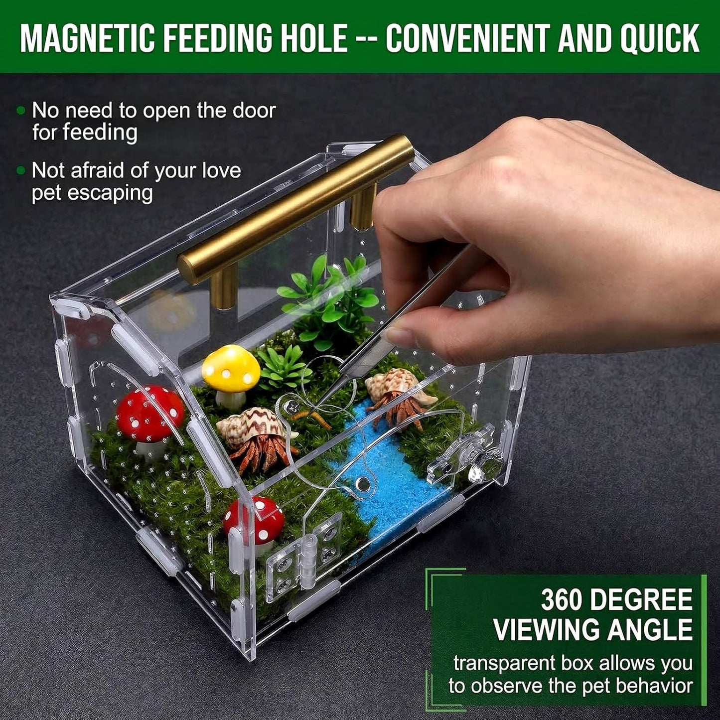 Jumping Spider Enclosure with Handle, Acrylic Reptile Habitat One-Click Magnetic Closure, Front Opening Small Terrarium Ventilation Holes for Tarantulas, Frogs, Gecko, Mantis