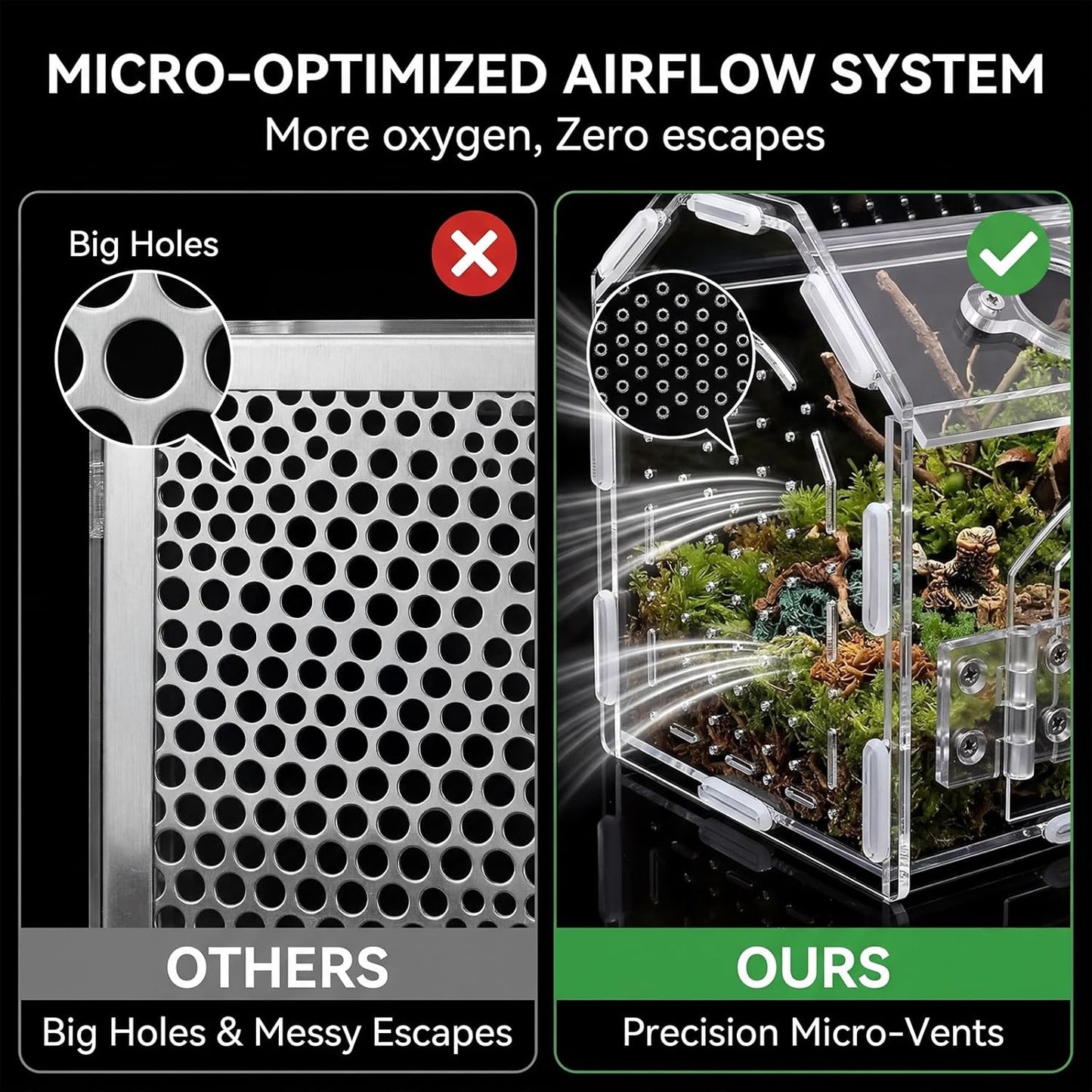 Jumping Spider Enclosure with Handle, Acrylic Reptile Habitat One-Click Magnetic Closure, Front Opening Small Terrarium Ventilation Holes for Tarantulas, Frogs, Gecko, Mantis