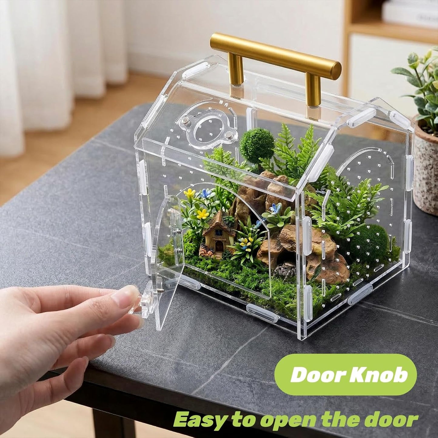 Jumping Spider Enclosure with Handle, Acrylic Reptile Habitat One-Click Magnetic Closure, Front Opening Small Terrarium Ventilation Holes for Tarantulas, Frogs, Gecko, Mantis