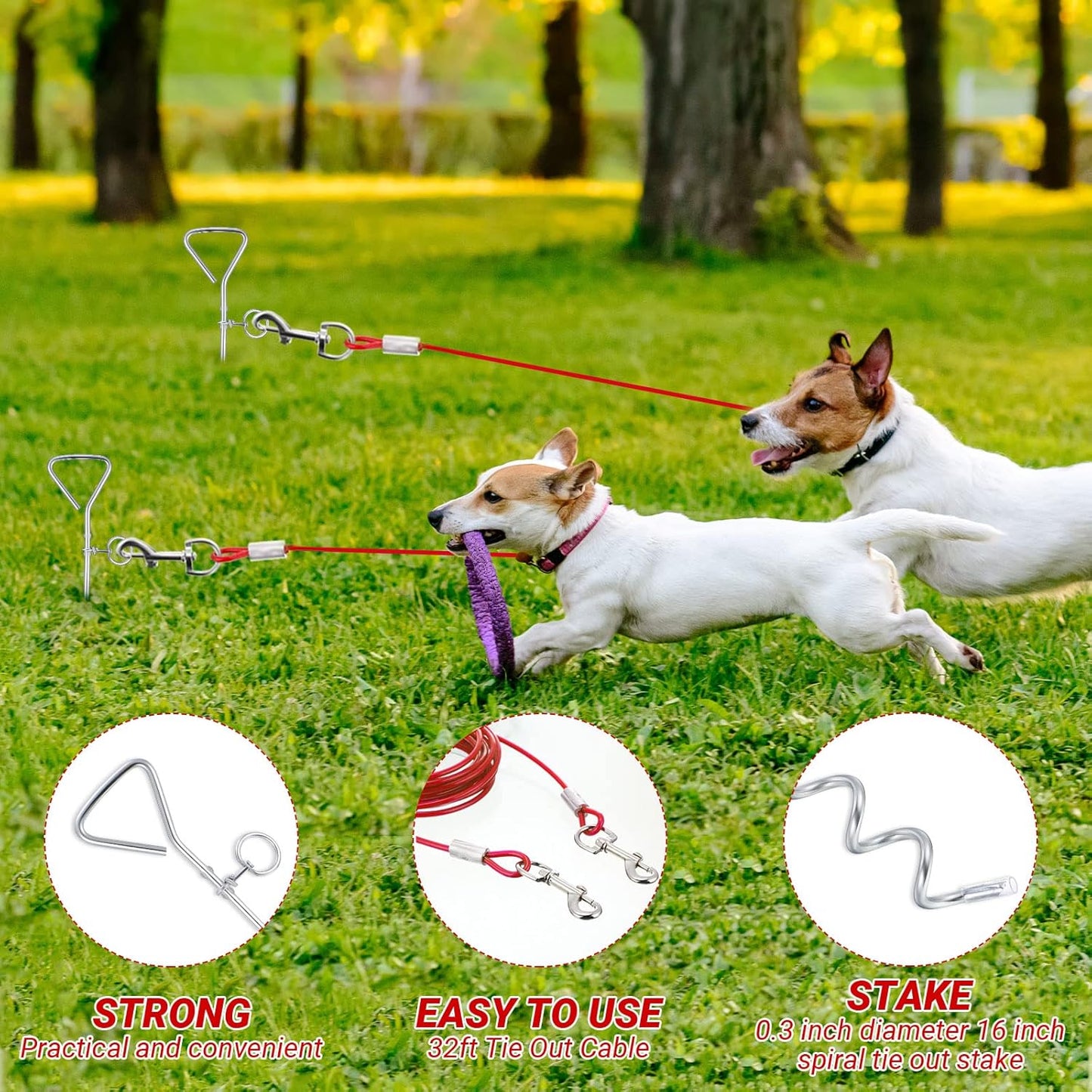 2 Set Dog Tie Out Cable and Stake - 30ft Leash Chain, 16" Spiral for Outside Yard Medium to Large Dogs up 125 Lbs (Red) Red