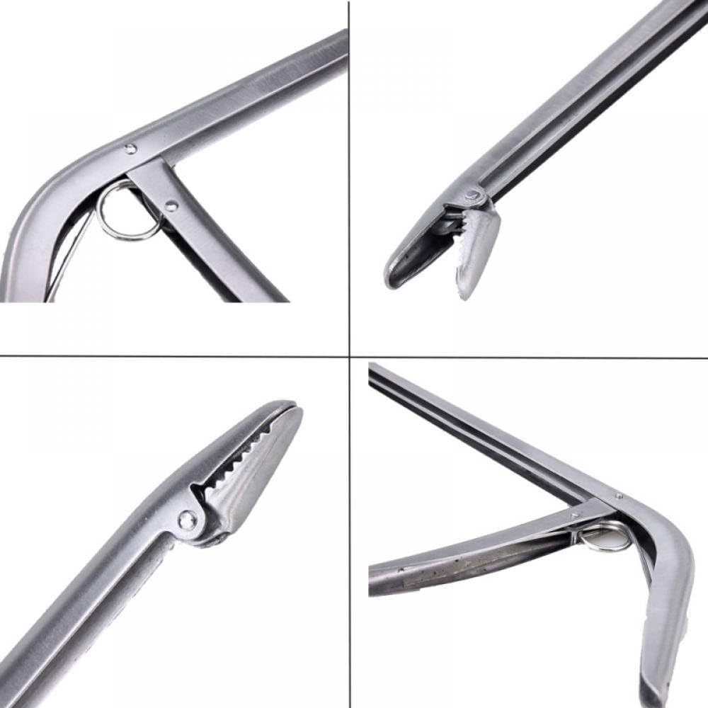 1Pack Fish Hook Remover, Premium Fishing Pliers-Stainless Steel Remover Tool, with Strong Jaw Grip and Serrated Teeth, Suitable for Freshwater Saltwater
