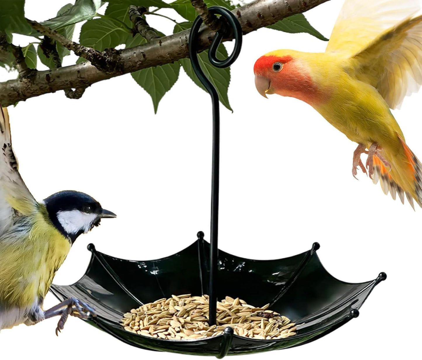 Bird feeder house, 18 x 16.5 cm, protection for poultry, outer covers, small adjustable height cover, bird feeding station for garden, balcony, rain shelter