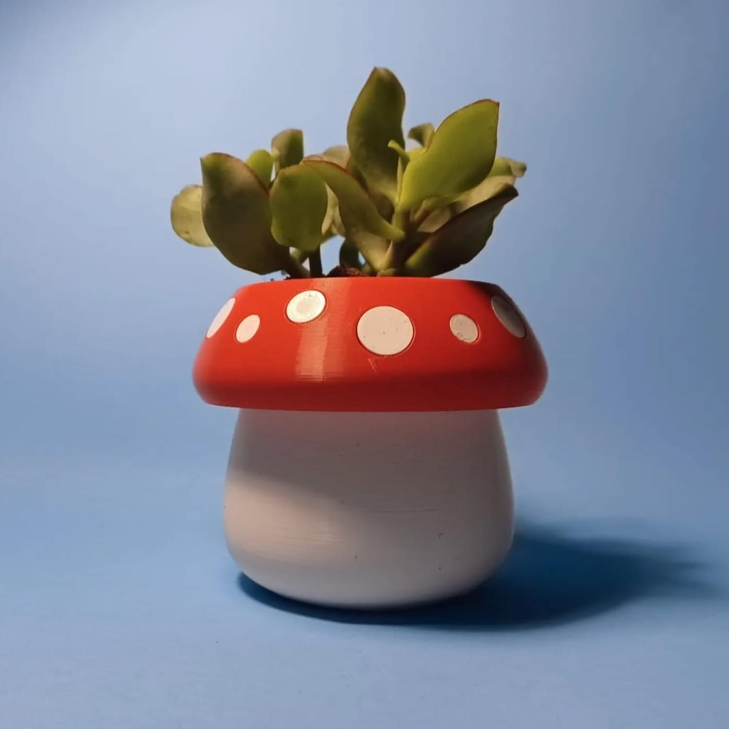 Cute Mushroom Indoor Plant Pots - 3.15 Inch Fower Pot Small Succulent Green Plants Pot, Cute Plant Gifts for Plant Lovers