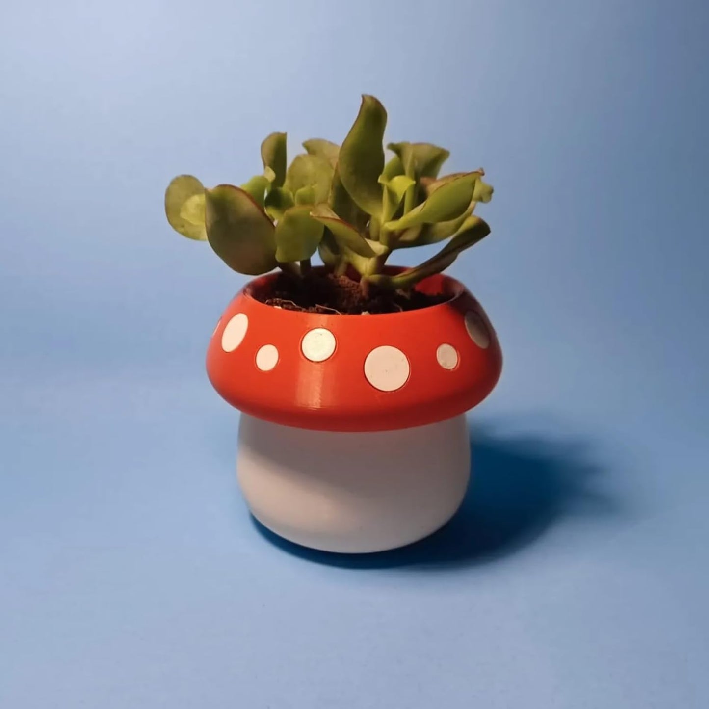 Cute Mushroom Indoor Plant Pots - 3.15 Inch Fower Pot Small Succulent Green Plants Pot, Cute Plant Gifts for Plant Lovers