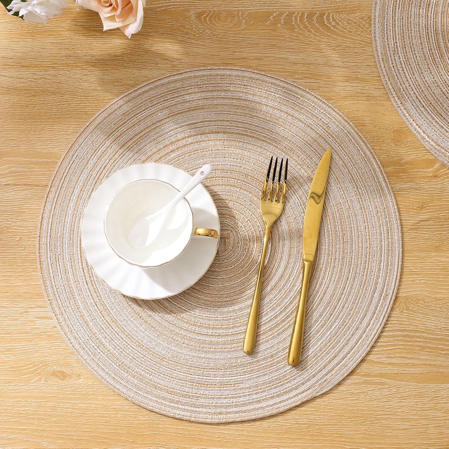 Round Braided Placemats Set of 6 Washable Round Placemats for Kitchen Table 15 inch Round Table Mats (Beige, 6)