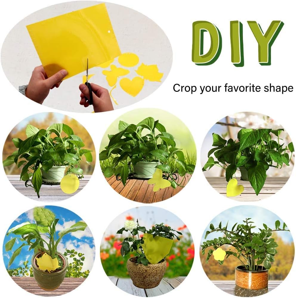 Dual-Sided Yellow Sticky Traps for Capturing Flying Plant Insects Like Fungus Gnats, Flying Aphid, Whiteflies, Leaf Miners, Other Flying Plant Insects (6x10 Inches, Twist Ties Included) (60-Pack)