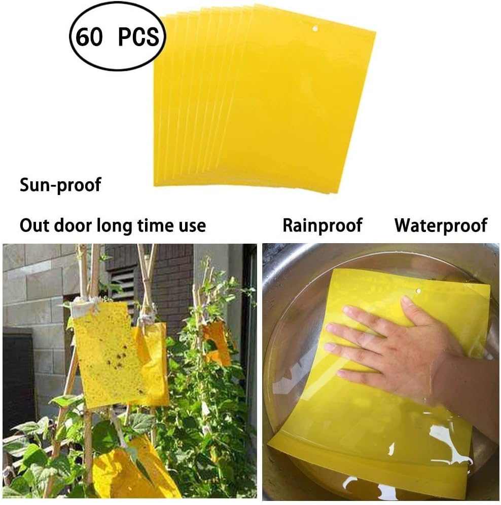Dual-Sided Yellow Sticky Traps for Capturing Flying Plant Insects Like Fungus Gnats, Flying Aphid, Whiteflies, Leaf Miners, Other Flying Plant Insects (6x10 Inches, Twist Ties Included) (60-Pack)