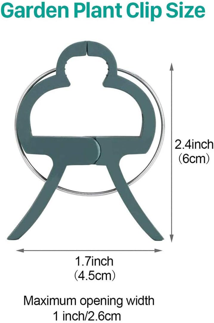 100 Pack Plant Support Clips for Flowers, Vines, Tomatoes - Garden Stem and Stalk Support for Upright Growth (Large Size)