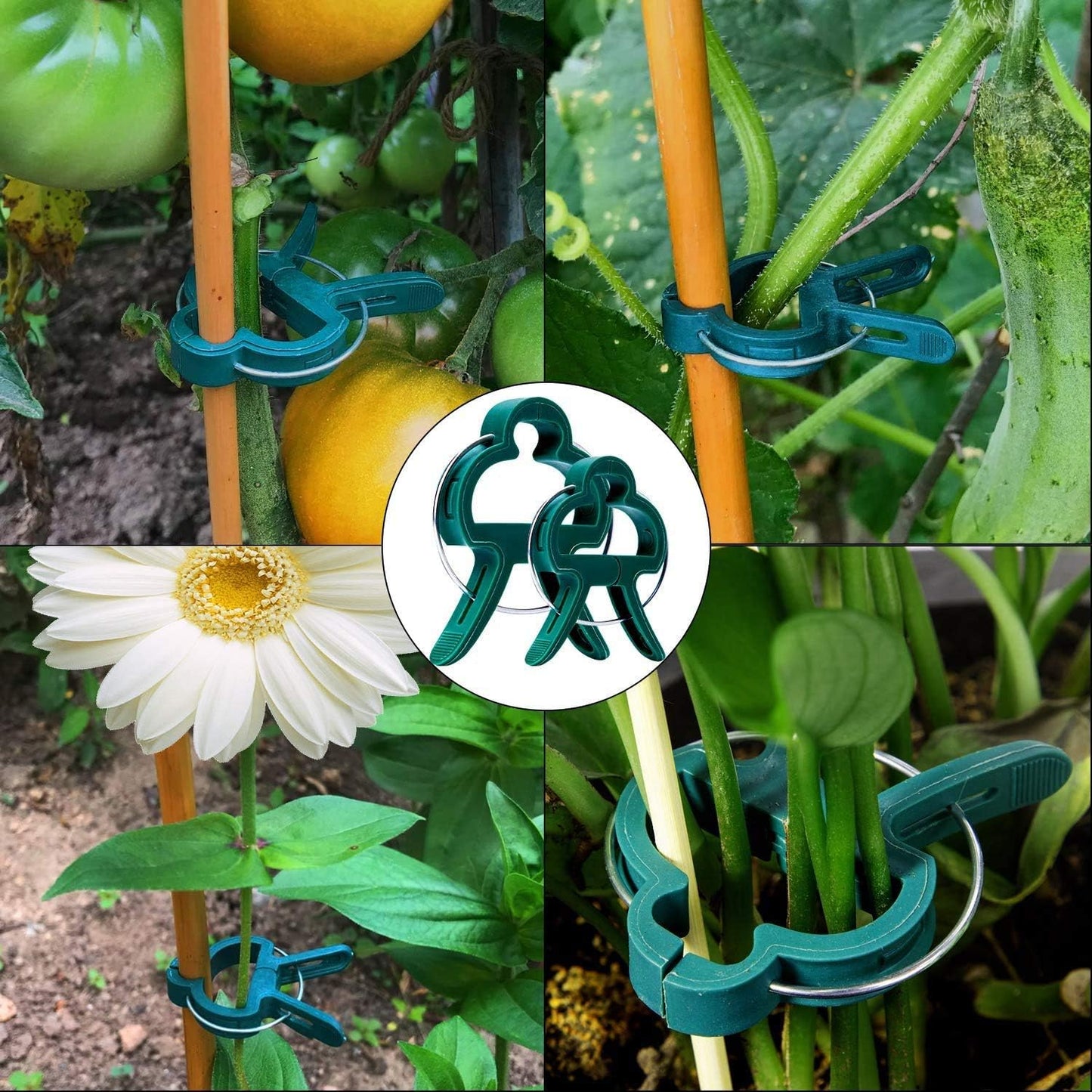 100 Pack Plant Support Clips for Flowers, Vines, Tomatoes - Garden Stem and Stalk Support for Upright Growth (Large Size)
