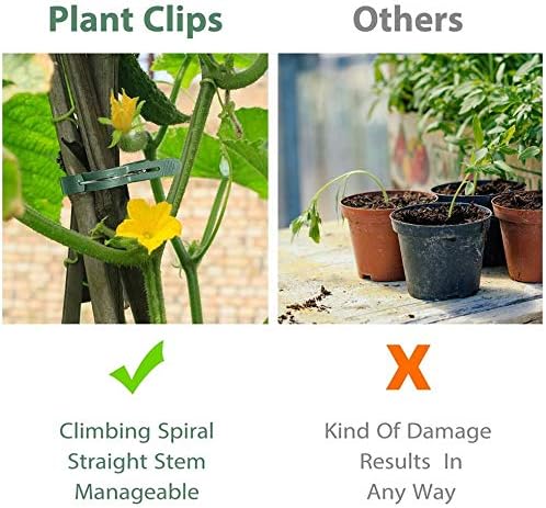 100 Pack Plant Support Clips for Flowers, Vines, Tomatoes - Garden Stem and Stalk Support for Upright Growth (Large Size)