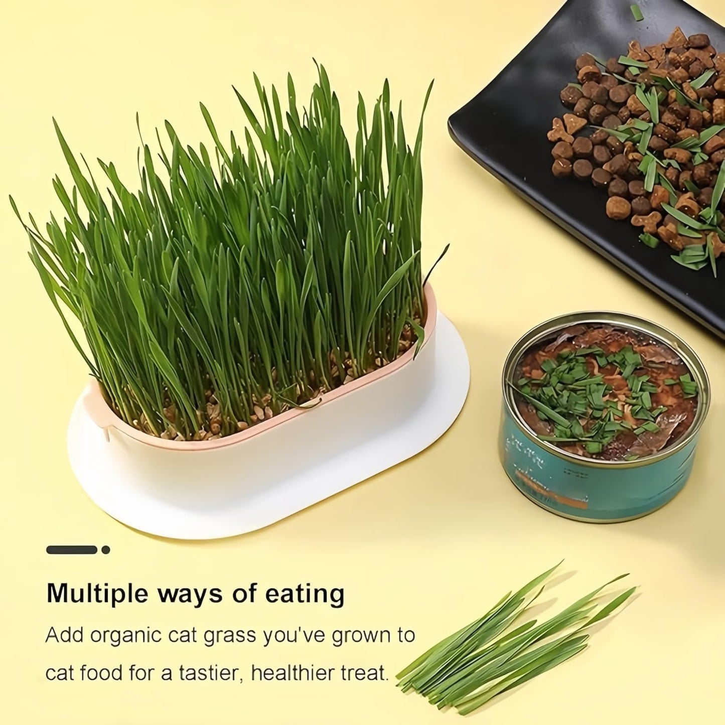 Cat Grass Planter Hydroponic Cat Grass (No Seeds Included) Catnip Wheatgrass Seed Sprout Tray Nursery Plant Plng Box for IndoorSoill