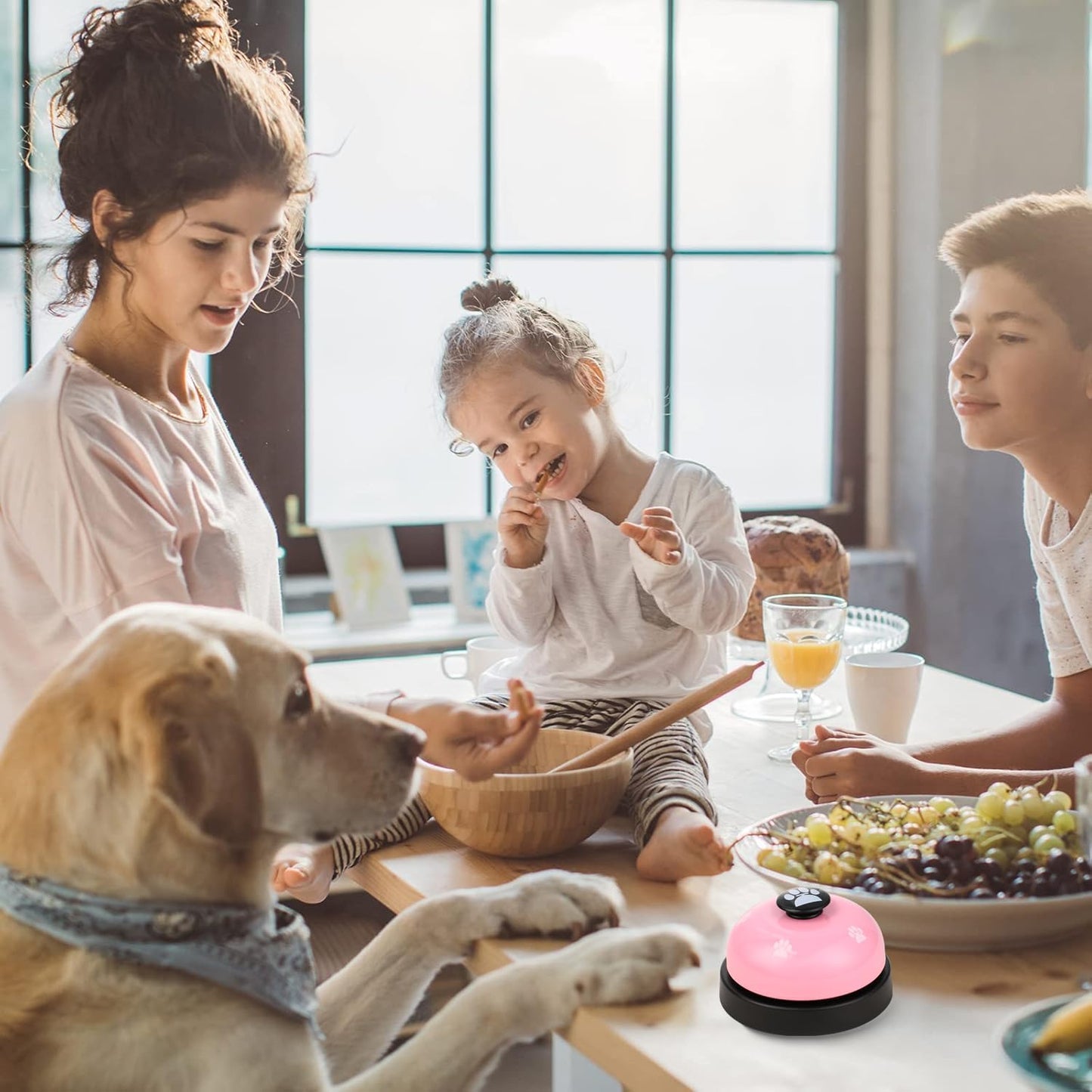 Call Bell Desk Service Bell Front Desk Service Bell Metal Hotel Bell Customer Service Bells Loud Game Pet Training Bell for Restaurant Hotels Kitchen Bar Party Office Pink