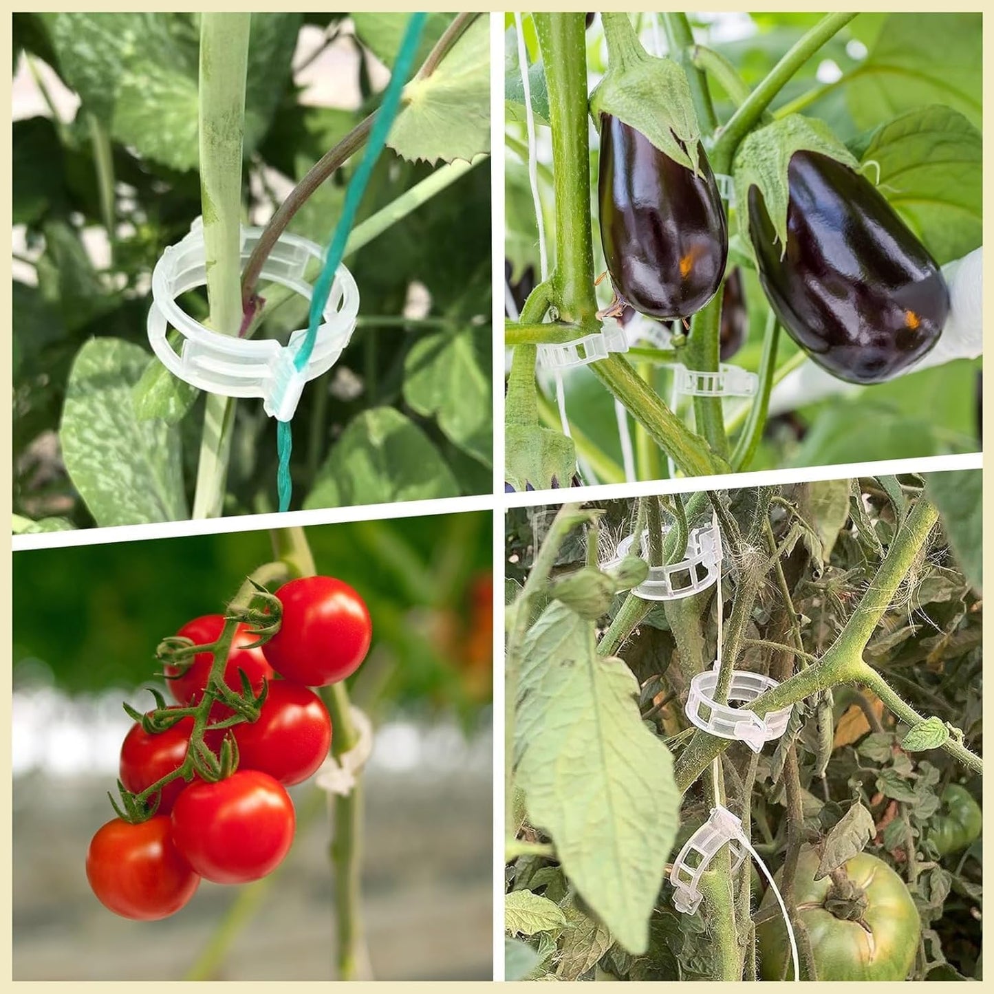 Plastic Plant Clips Essential Garden Tools, Plant Support Clips Tomato Grape Vine Vegetables Plant Fixing Clips,2025 Upgrade Plant Support Garden Clips (Count, 300)