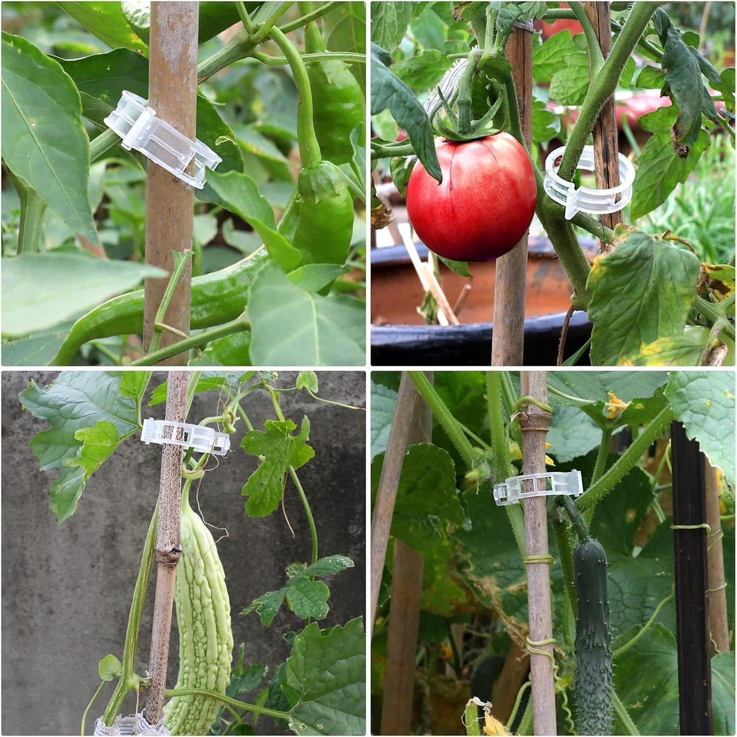 Plastic Plant Clips Essential Garden Tools, Plant Support Clips Tomato Grape Vine Vegetables Plant Fixing Clips,2025 Upgrade Plant Support Garden Clips (Count, 300)