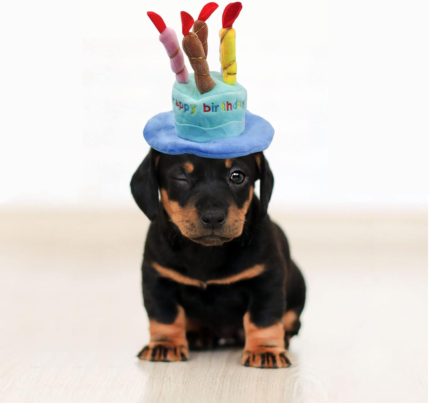Dog Birthday Hat, Soft Plush Pet Birthday Cake Hat with 5 Colored Candles Cute Cat Birthday Party Hat for Pet Birthday Party (Blue)