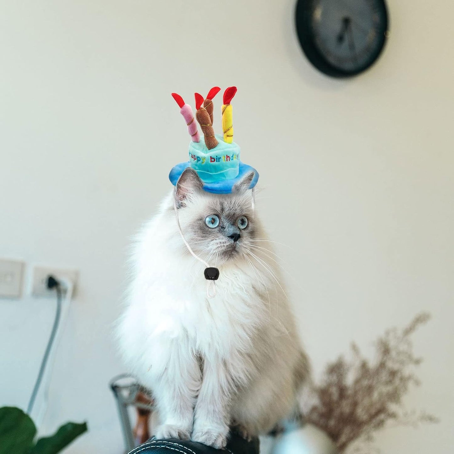 Dog Birthday Hat, Soft Plush Pet Birthday Cake Hat with 5 Colored Candles Cute Cat Birthday Party Hat for Pet Birthday Party (Blue)