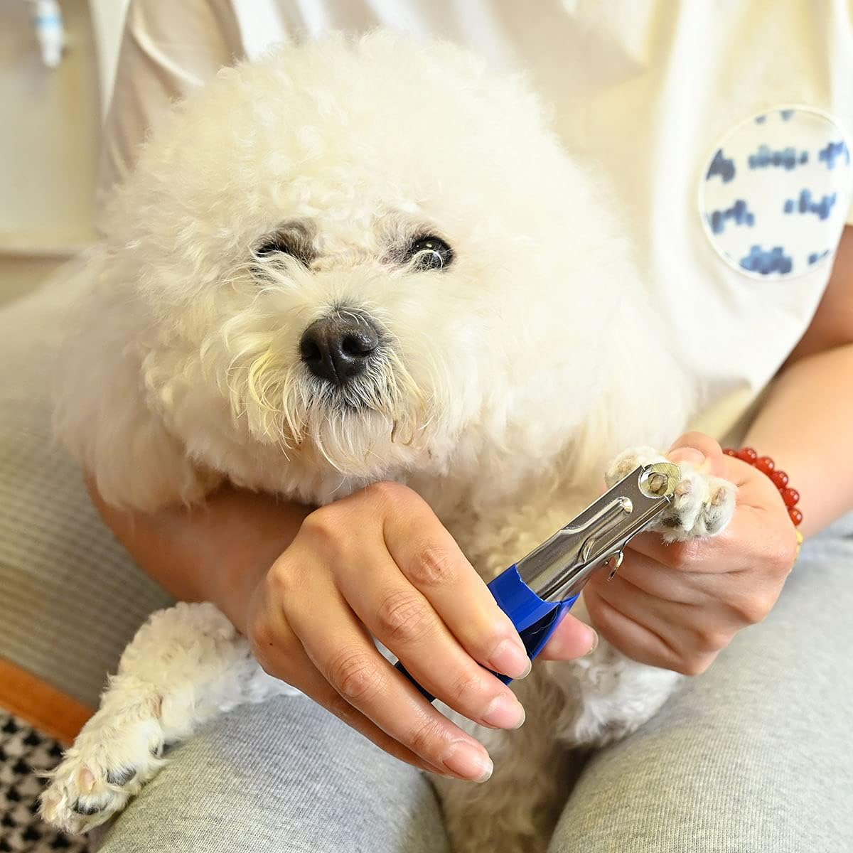 Dog Cat Nail Clippers, Professional Pet Claw Trimmer, Free Nail File, Stainless Steel Razor Sharp Blade Dog Toes Cutter Grooming Tools for Small Medium Large Animal Pets Blue