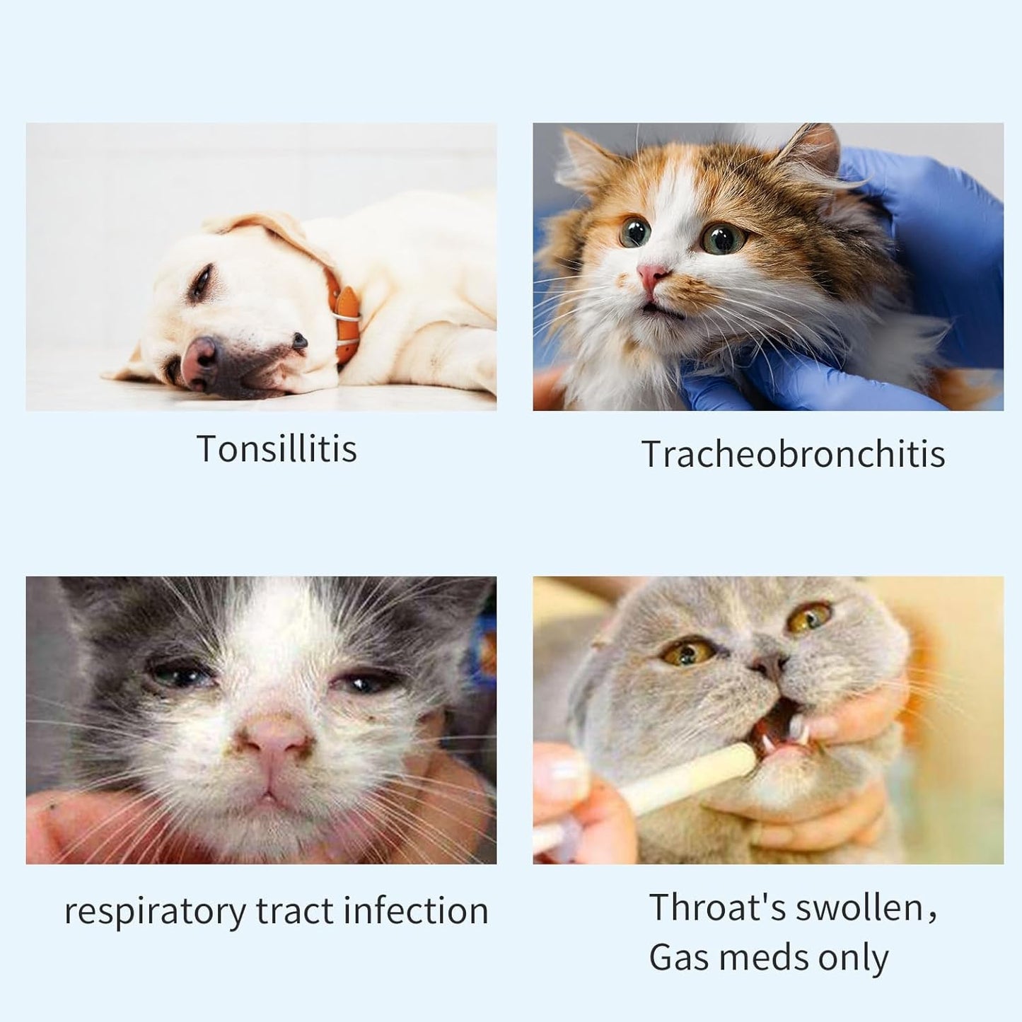 Cat Inhaler Spacer, Aerosol Chamber Inhaler Spacer for Cat's Breathing & Delivering Medication, Come with 2 Size Masks
