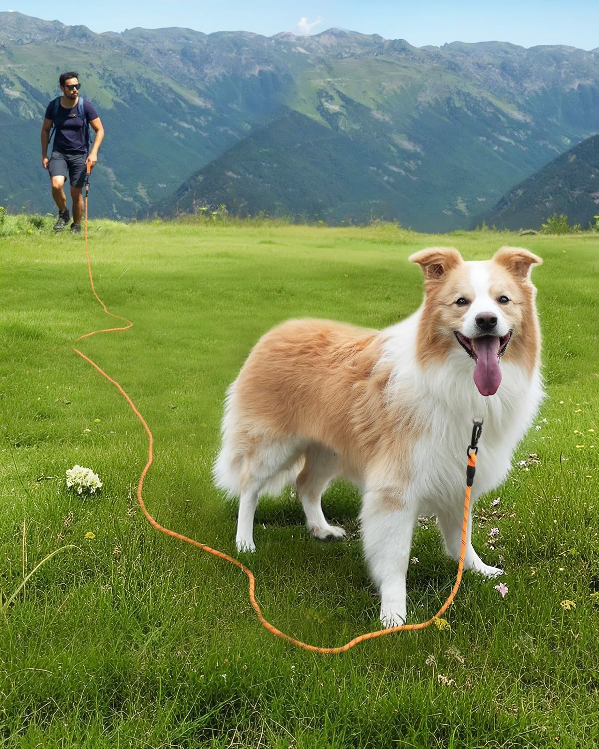 Long Leash for Dog with Removable Padded Handle, Heavy Duty Lead Large Medium Dogs, Reflective Training Play, Camping, Backyard Tie Out, Orange, 30FT Orange