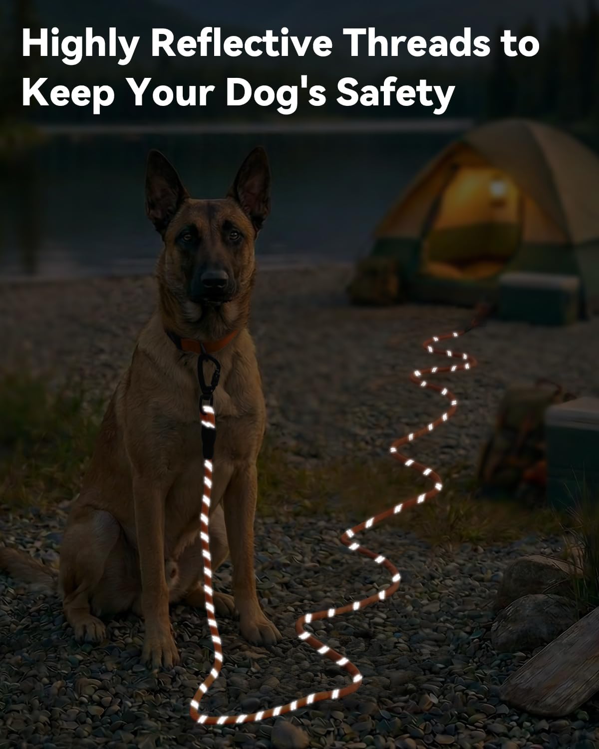 Long Leash for Dog with Removable Padded Handle, Heavy Duty Lead Large Medium Dogs, Reflective Training Play, Camping, Backyard Tie Out, Orange, 30FT Orange