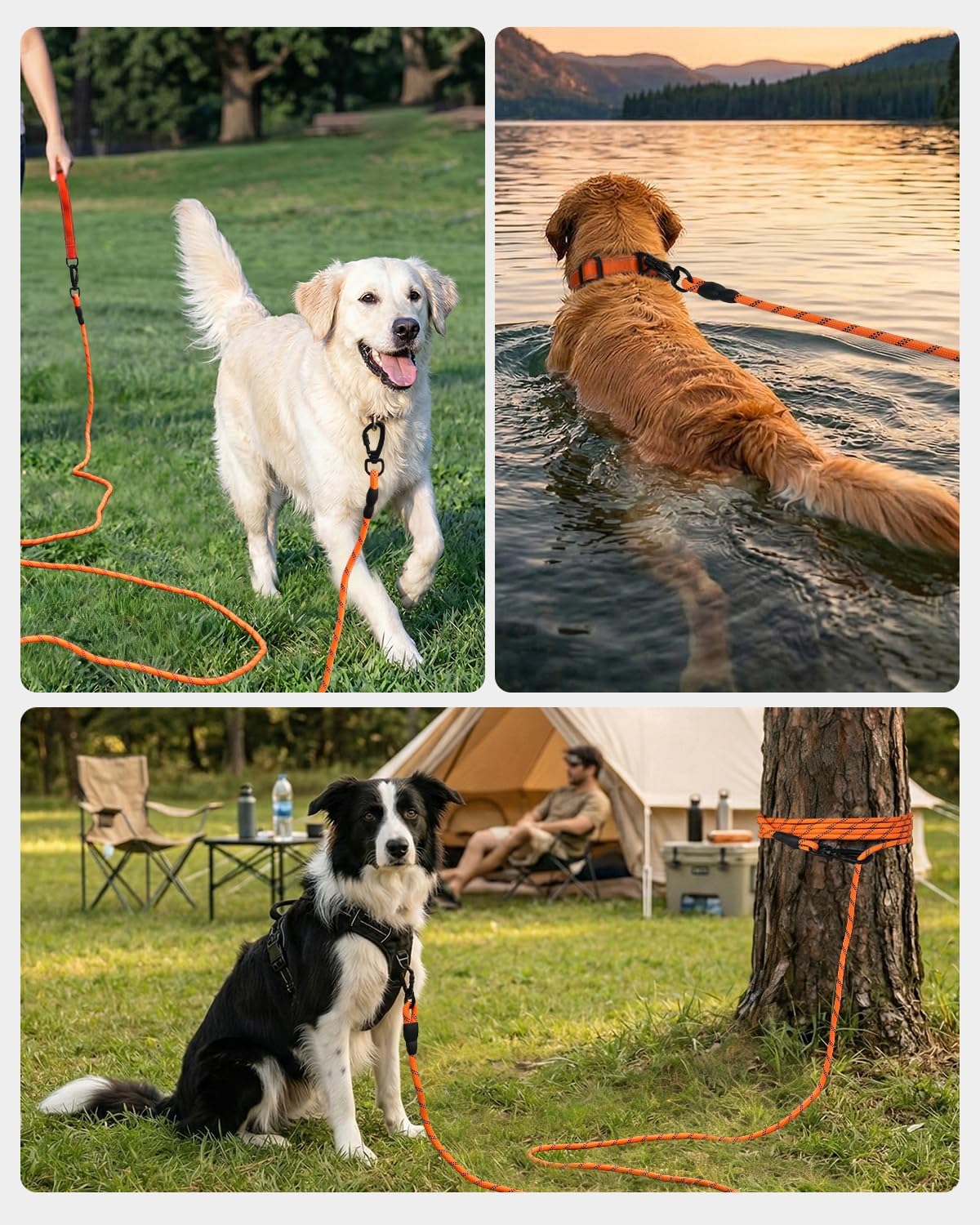 Long Leash for Dog with Removable Padded Handle, Heavy Duty Lead Large Medium Dogs, Reflective Training Play, Camping, Backyard Tie Out, Orange, 30FT Orange