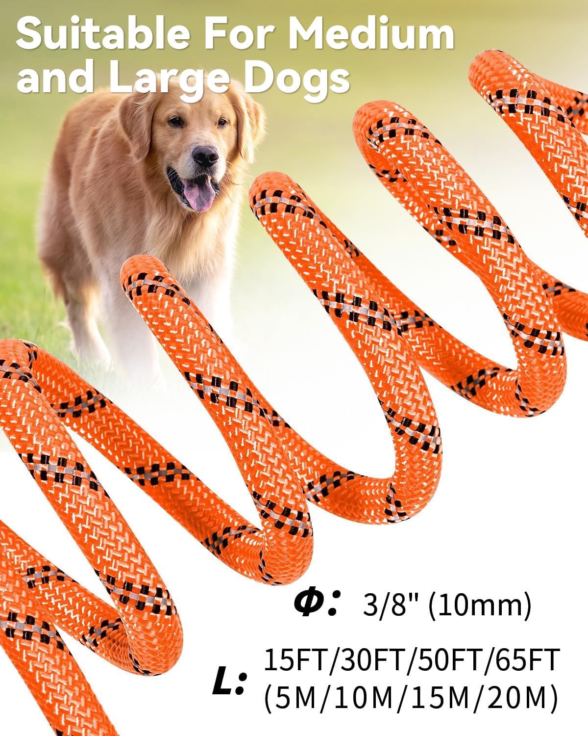 Long Leash for Dog with Removable Padded Handle, Heavy Duty Lead Large Medium Dogs, Reflective Training Play, Camping, Backyard Tie Out, Orange, 30FT Orange