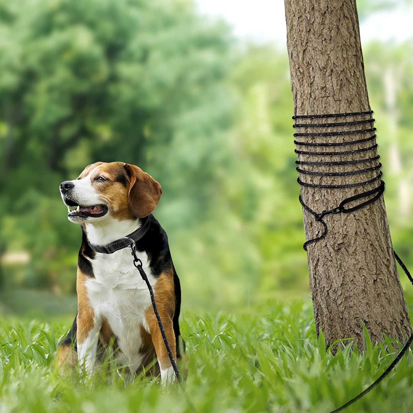 Long Dog Training Leash, 30 FT Tie Out Rope Check Cord with Padded Handle, Reflective Recall Lead for Puppy and Small Dogs, Black ft(Pack of 1)