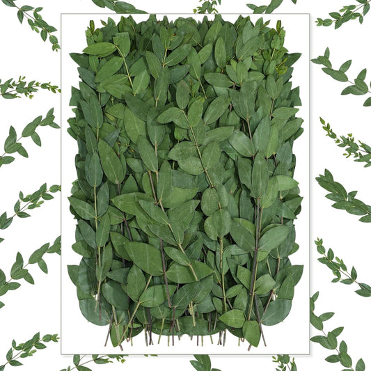 50 Pcs Pressed Dried Eucalyptus Leaves 6 Inch 100% Natural Preserved Real Stems Greenery for DIY Crafts Resin Art Invitations Scrapbook Card Gift Decoration (Green) Green -