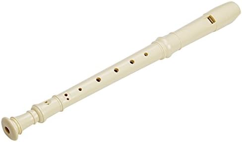 2 Pack German Style 8 Hole-3 Piece Descant Soprano Recorders with Cleaning Rod, Black Storage Bag, ABS Material (Ivory White and Black) Ivory