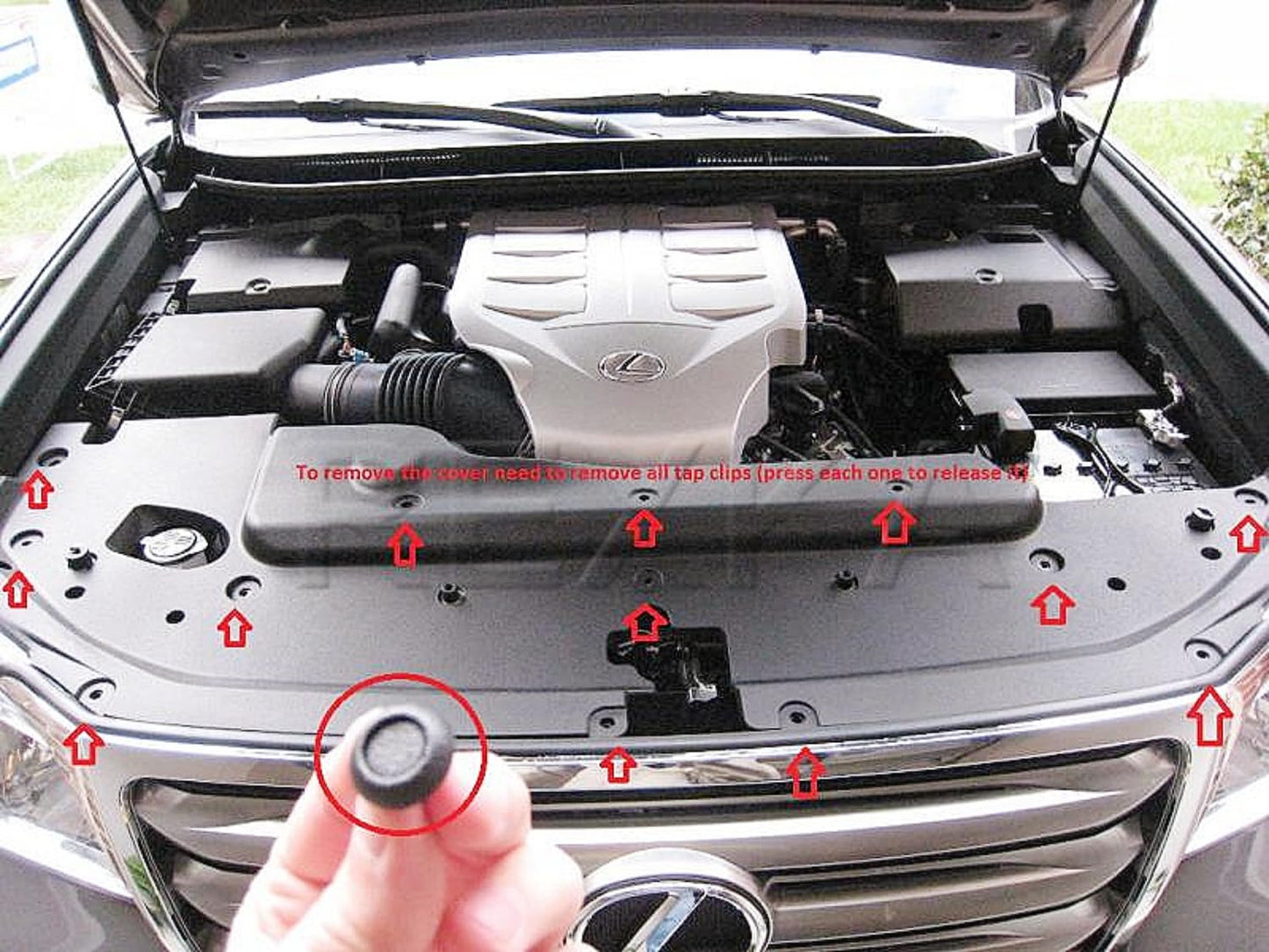 Rexka 30pcs Engine Cover Radiator Support Air Deflector Side Shield Retainer Clip 90467-07217 for Toyota Lexus 4Runner Avalon C-HR Camry Corolla Highlander Land Cruiser Mirai Prius Sienna ES RX UX GS