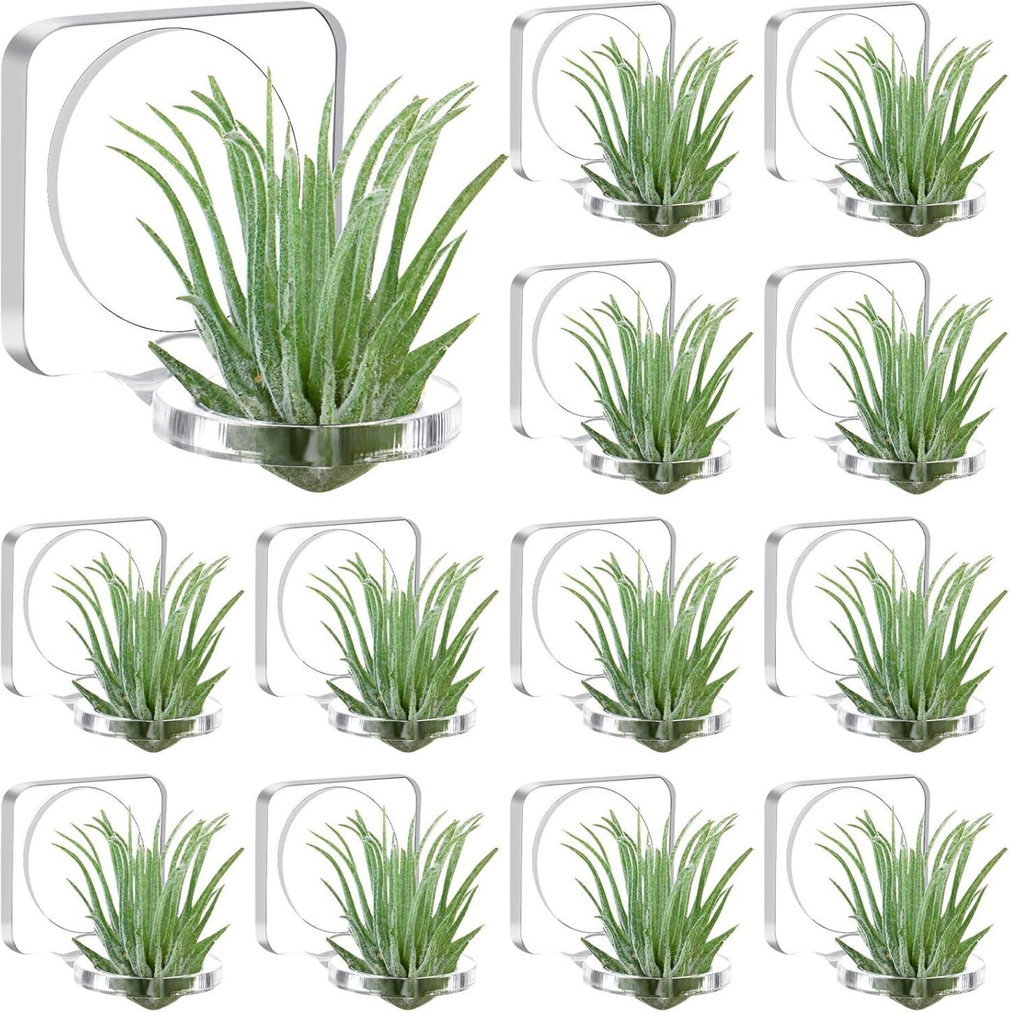 12 Pcs Acrylic Air Plants Holder Hanger with Mounting Tape or Hanging Air Plants on Glass Display Home Decoration