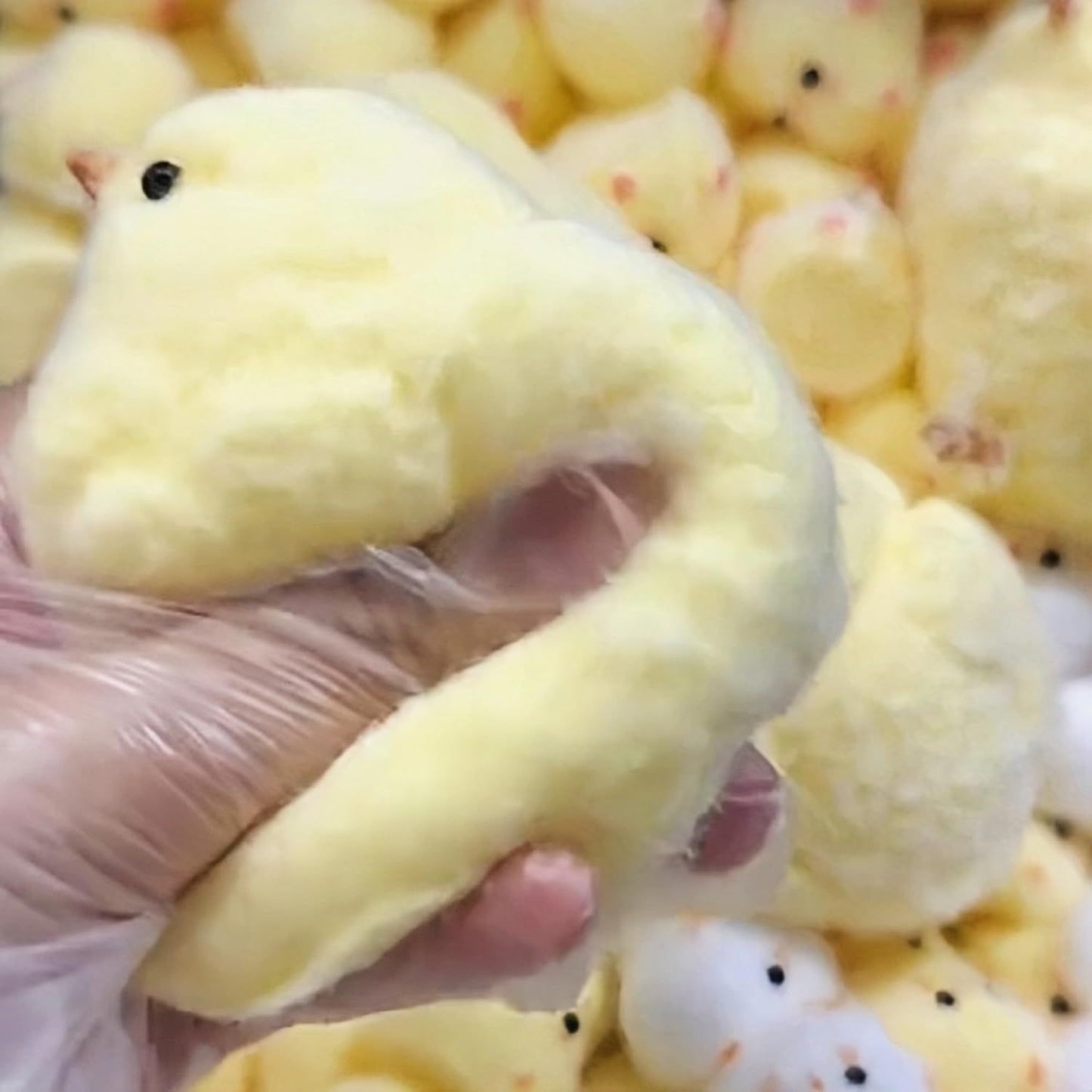 Handmade Chick Squeeze Toys Ultra Soft Squishy Fidget Toys Silicone Squishies Toys for Stress Relief ( Chicken ) (1pcs)
