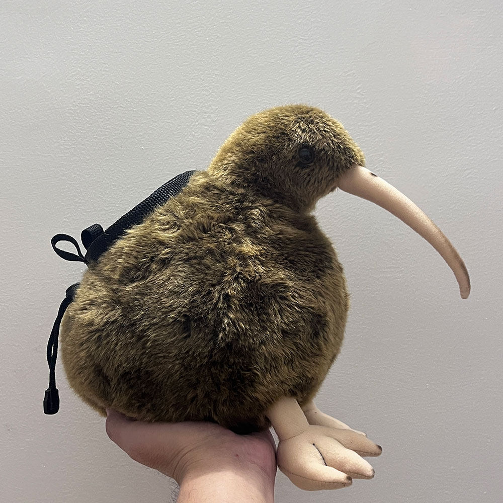 Kiwi Chalk Bag Rock Climbing Equipment