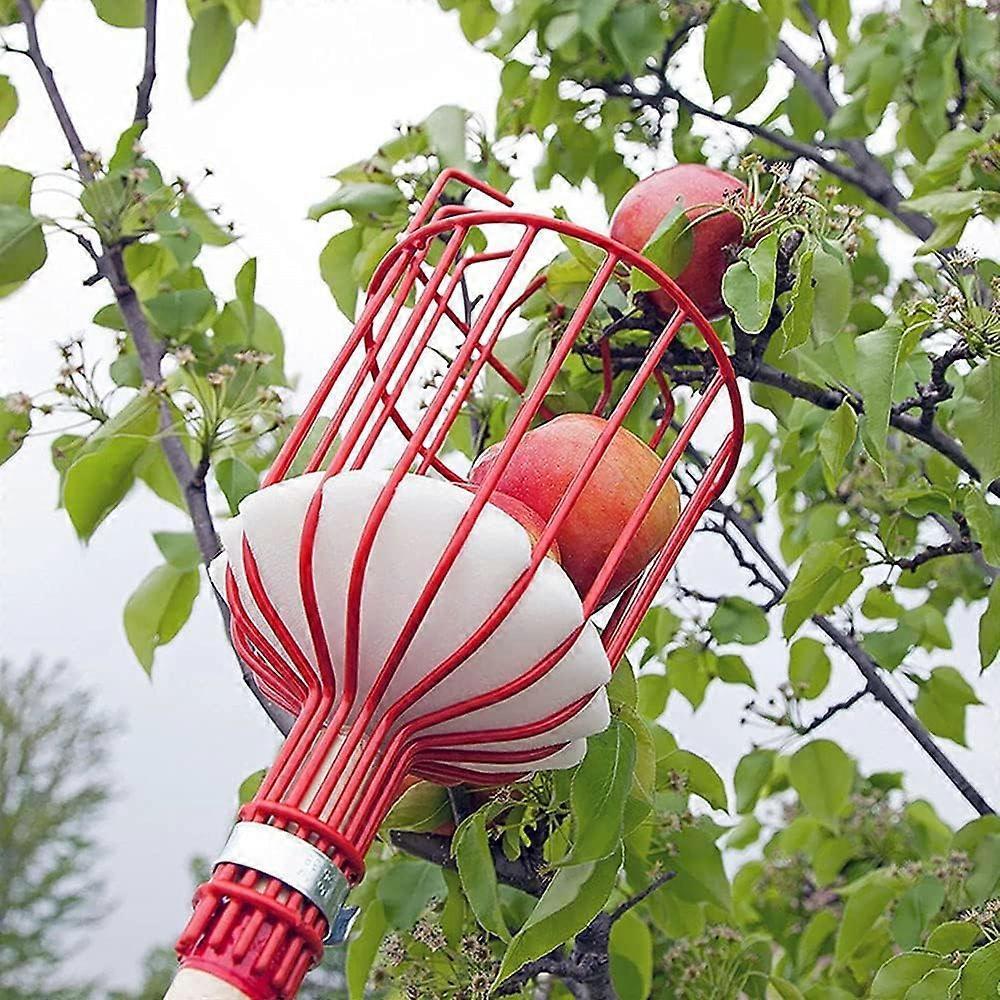 Metal Fruit Picker with Claw, Metal Fruit Picking Tool, Gardening Tools for Harvesting Apples, Citrus, Pears, Peaches