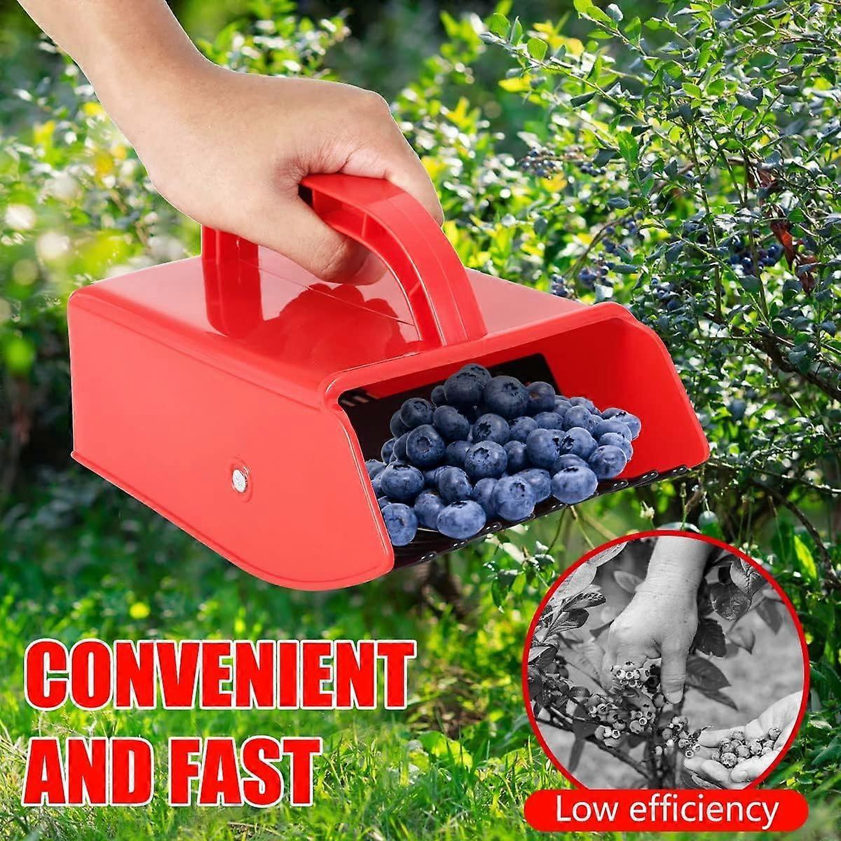 Blueberry Comb Berry Picker with Metal Fruit Picker Comb for Currants, Blackcurrants, Picker