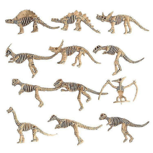 Dinosaur Fossil Skeleton Dinosaur Model Dinosaur Skeleton Toys