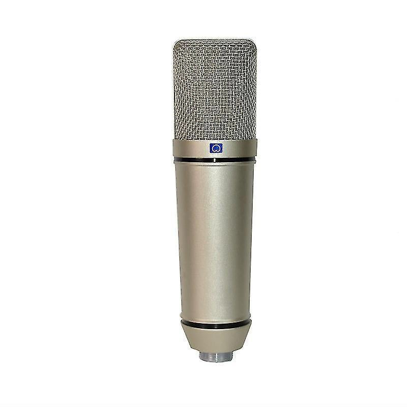 Large Diaphragm Condenser Microphone - Studio/Gaming/Podcast Mic for PC