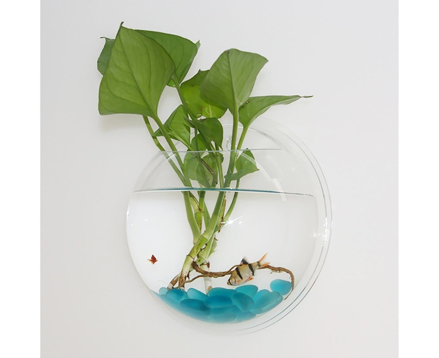1 Set Fish Tank Decorative Wall Mounted Hanging Flower Vase-Transparent