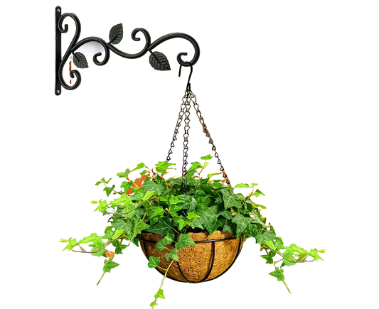 Plant Holder for Garden-Black