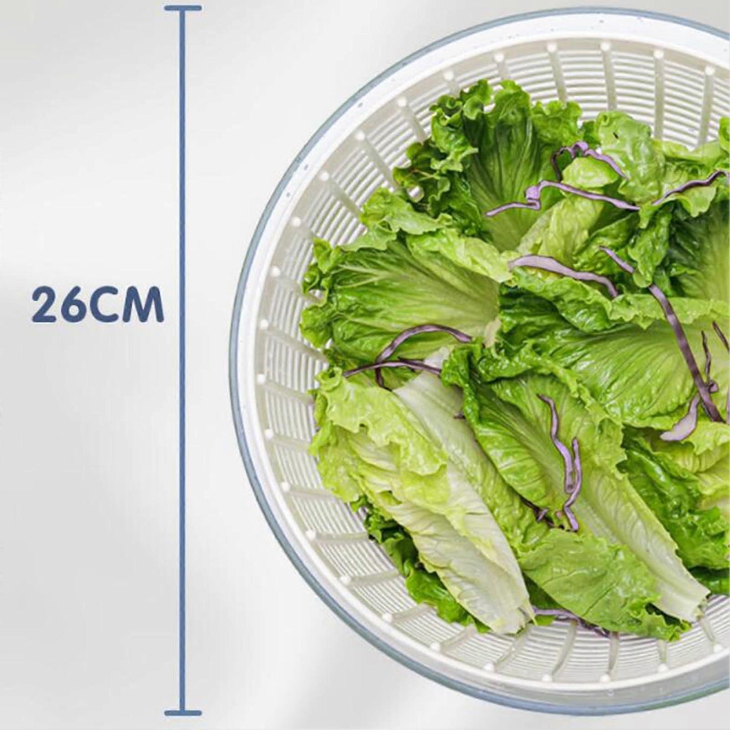 6L Salad Spinner with One-Hand Pump, Lettuce & Fruit Washer Dryer