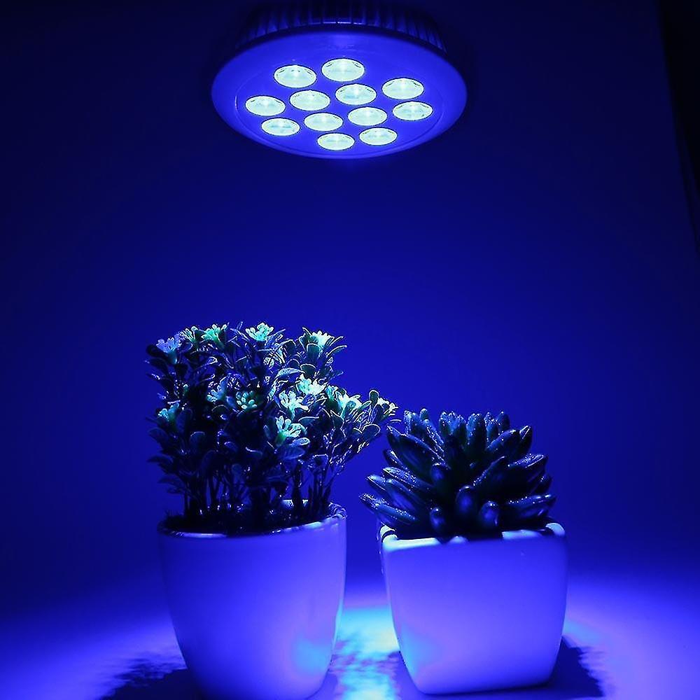 LED Grow Plant Light Bulb for Indoor Plants